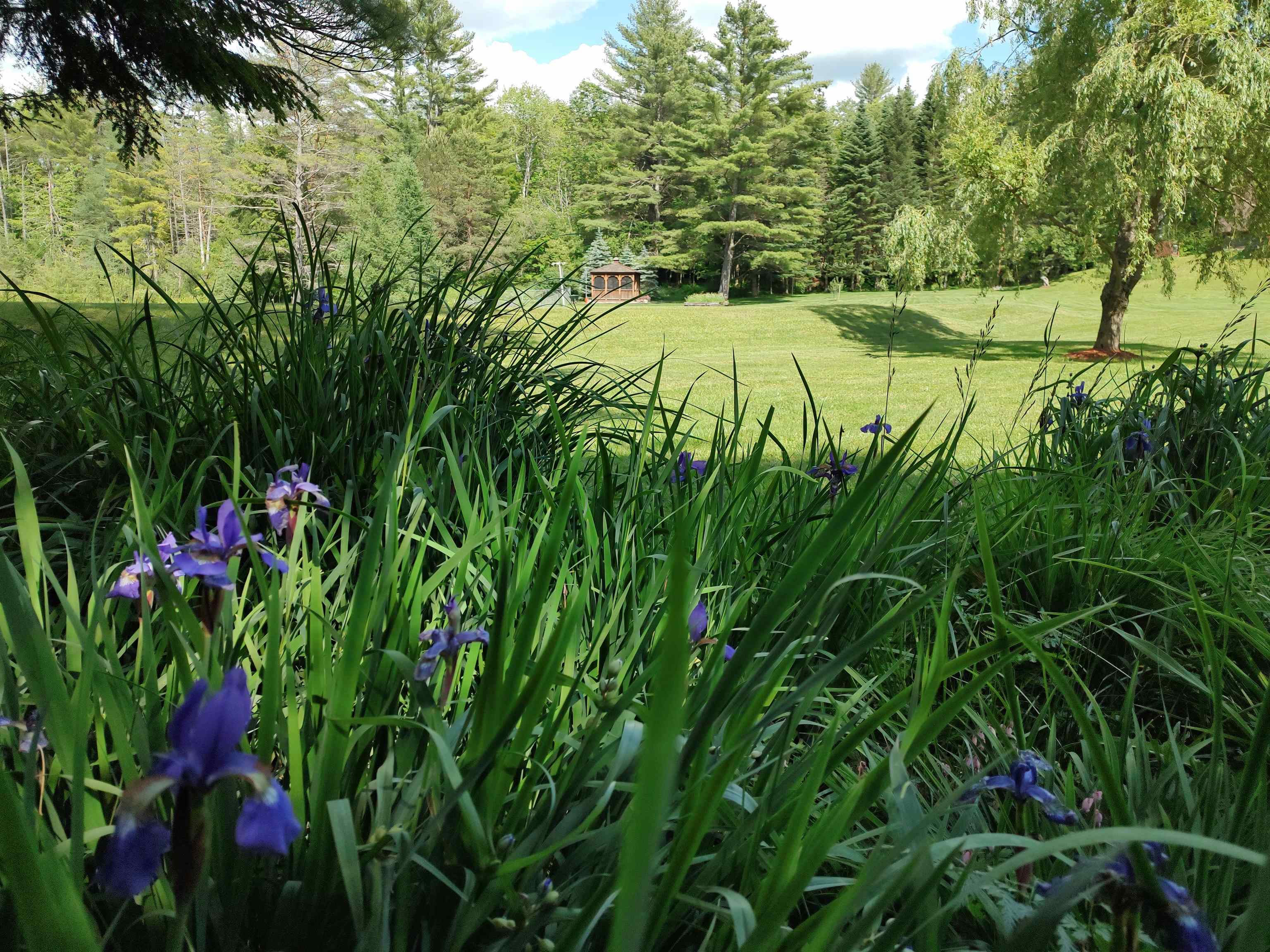 2534 Fish Hill Road Randolph, VT 05060 - Photo 19 of 40