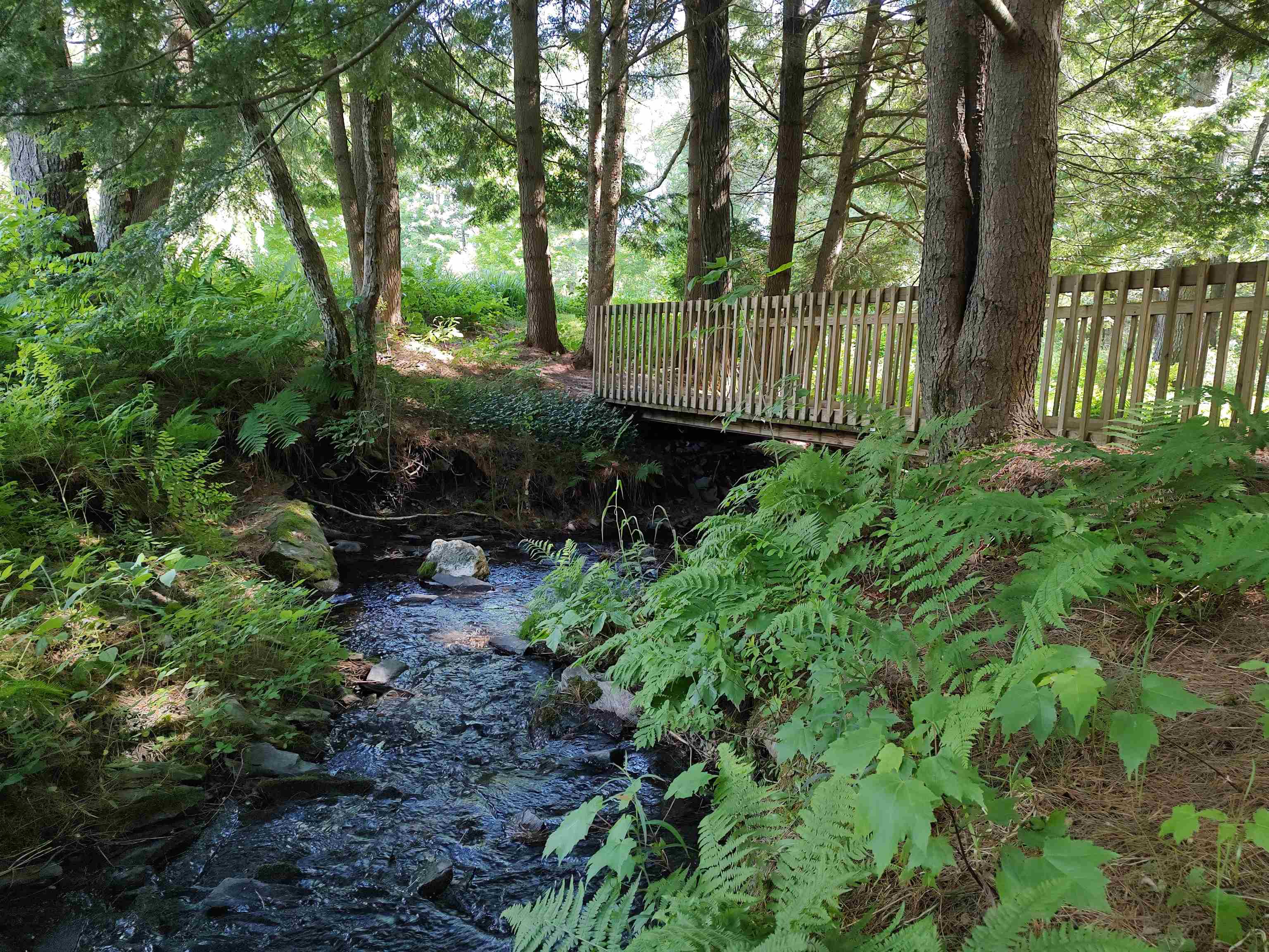 2534 Fish Hill Road Randolph, VT 05060 - Photo 20 of 40
