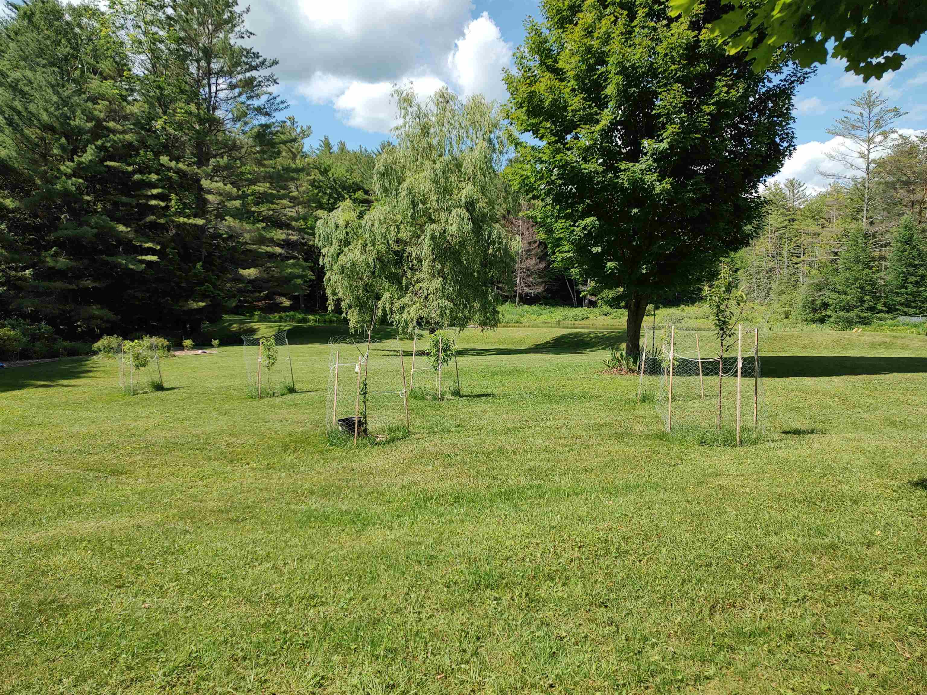 2534 Fish Hill Road Randolph, VT 05060 - Photo 25 of 40