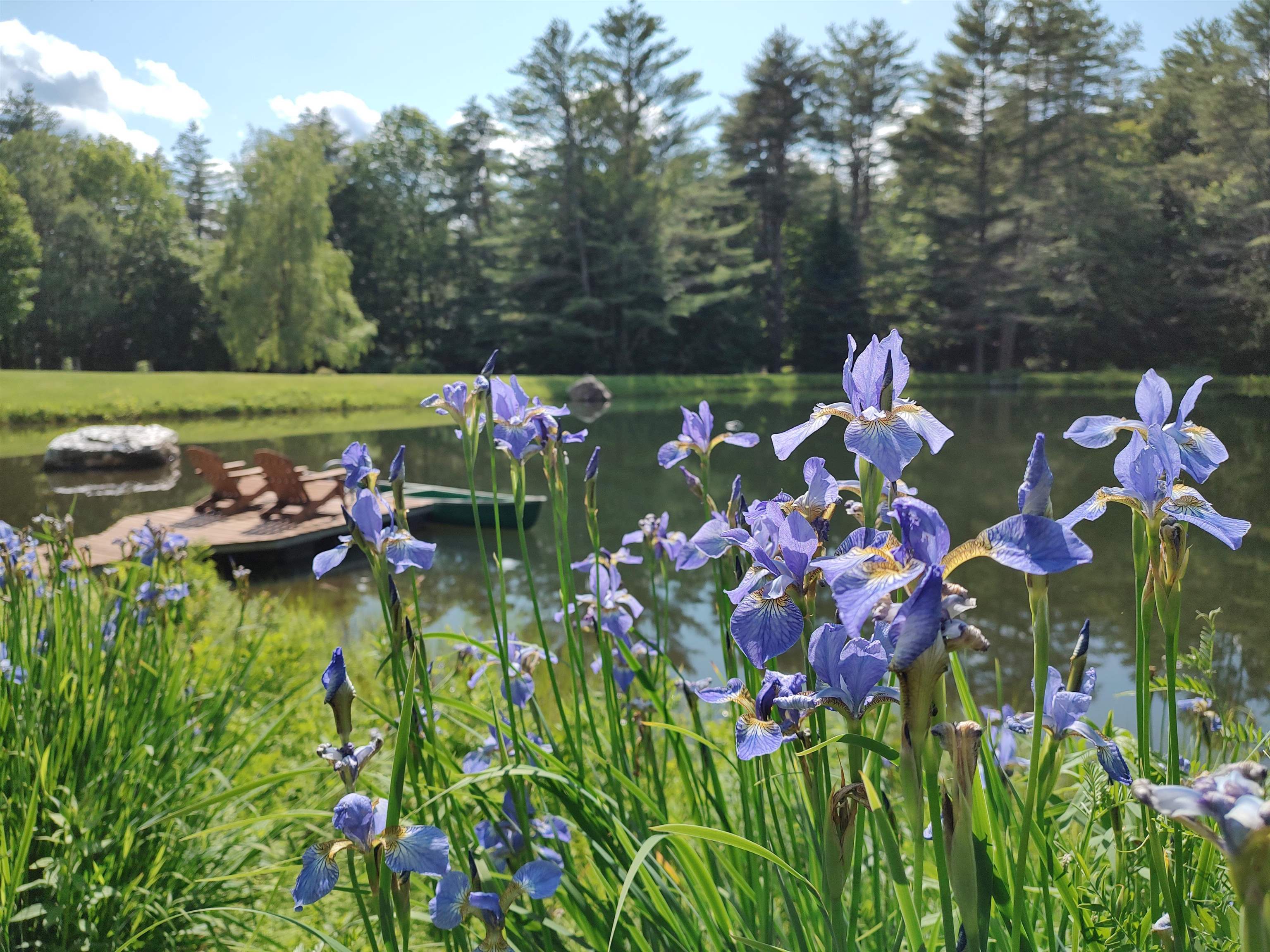 2534 Fish Hill Road Randolph, VT 05060 - Photo 28 of 40