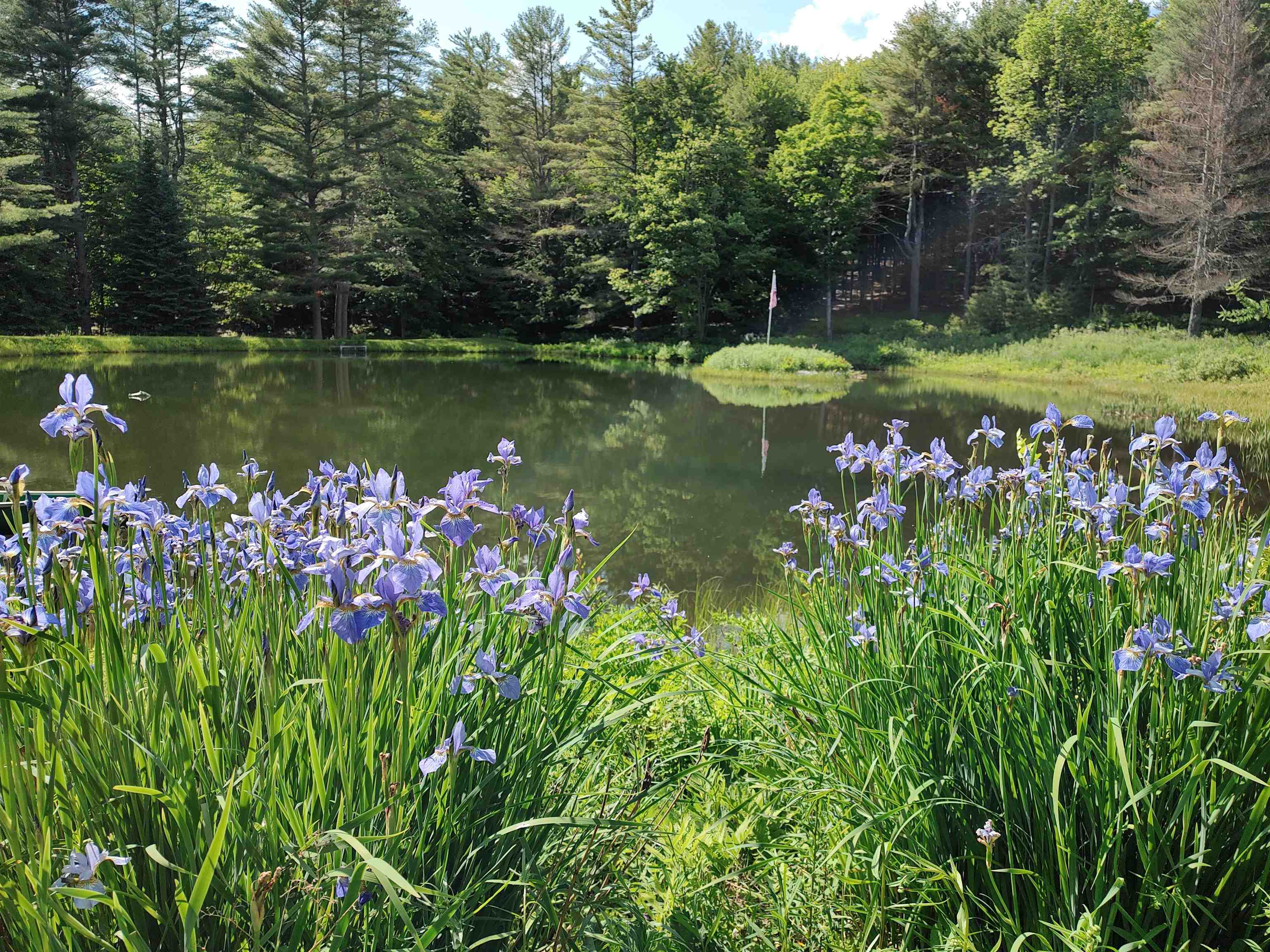 2534 Fish Hill Road Randolph, VT 05060 - Photo 29 of 40