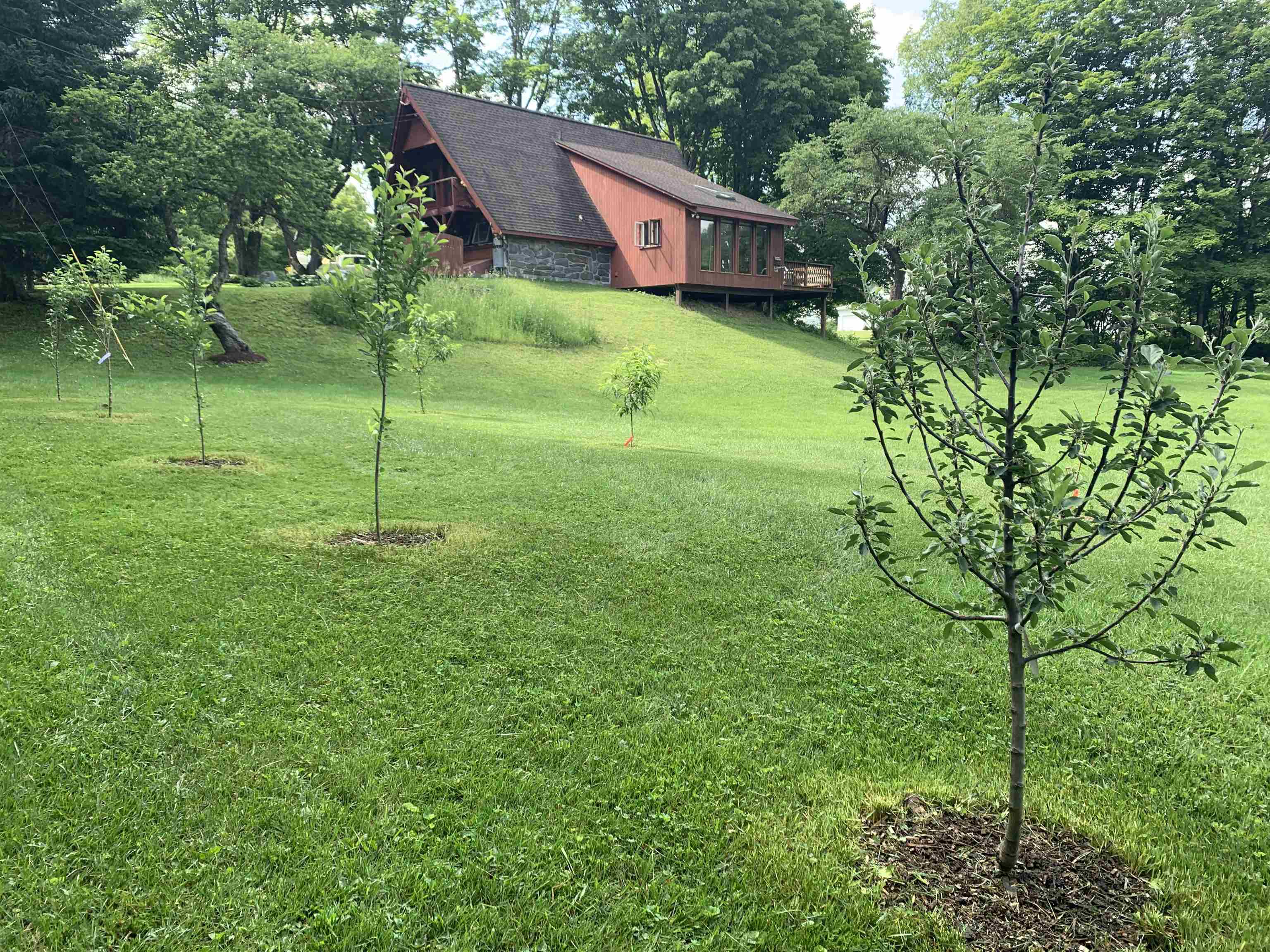 2534 Fish Hill Road Randolph, VT 05060 - Photo 31 of 40