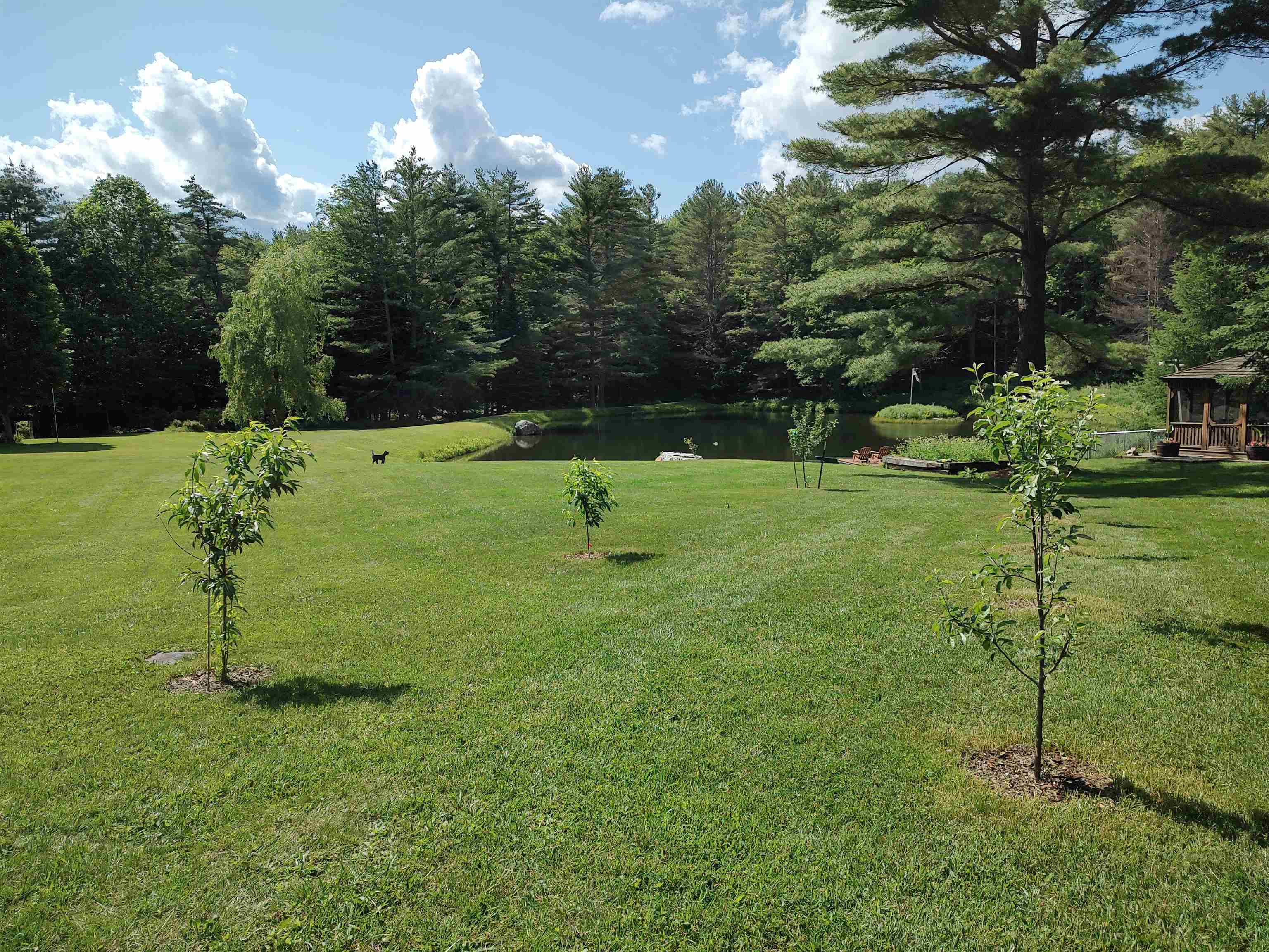 2534 Fish Hill Road Randolph, VT 05060 - Photo 32 of 40