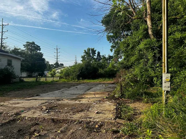 a view of a yard with plants and trees