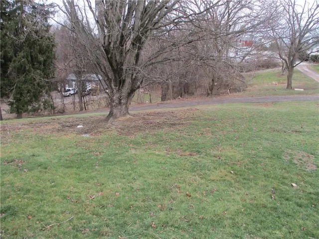 a view of large trees with open kitchen