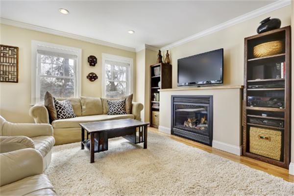 11 Whitney Street, Unit 11 Brookline, MA 02467 - Photo 2 of 20 a living room with furniture a flat screen tv and a fireplace