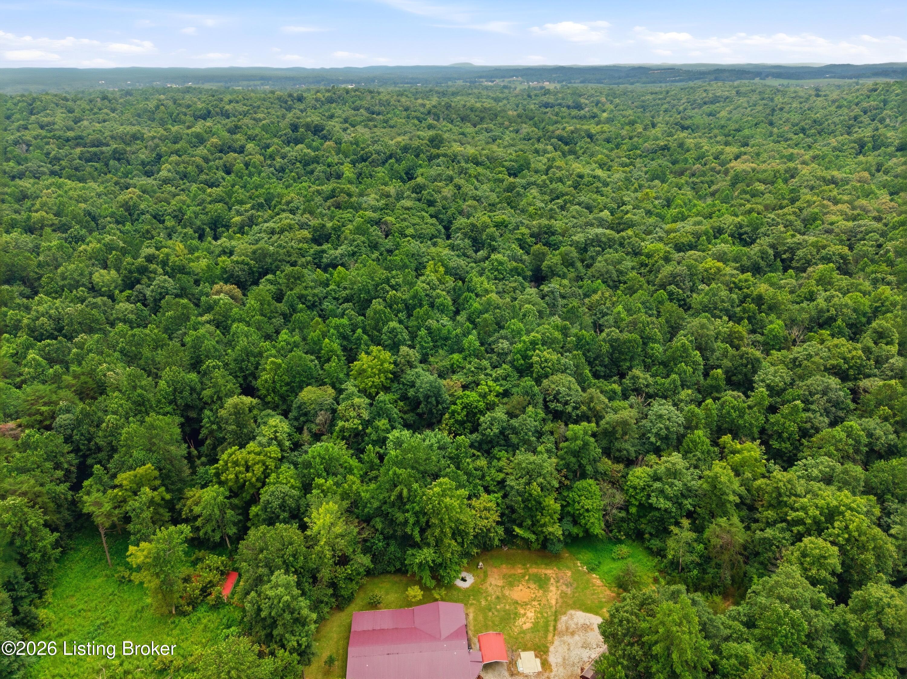 1761 Wonderland Road Upton, KY 42784 - Photo 68 of 70 69_Aerial Forest View