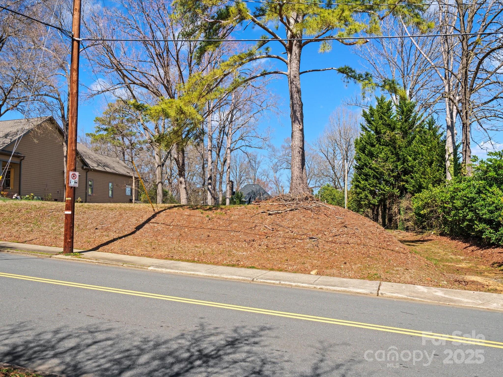 1539 Lilac Road Charlotte, NC 28209 - Photo 11 of 16 a view of backyard with large trees