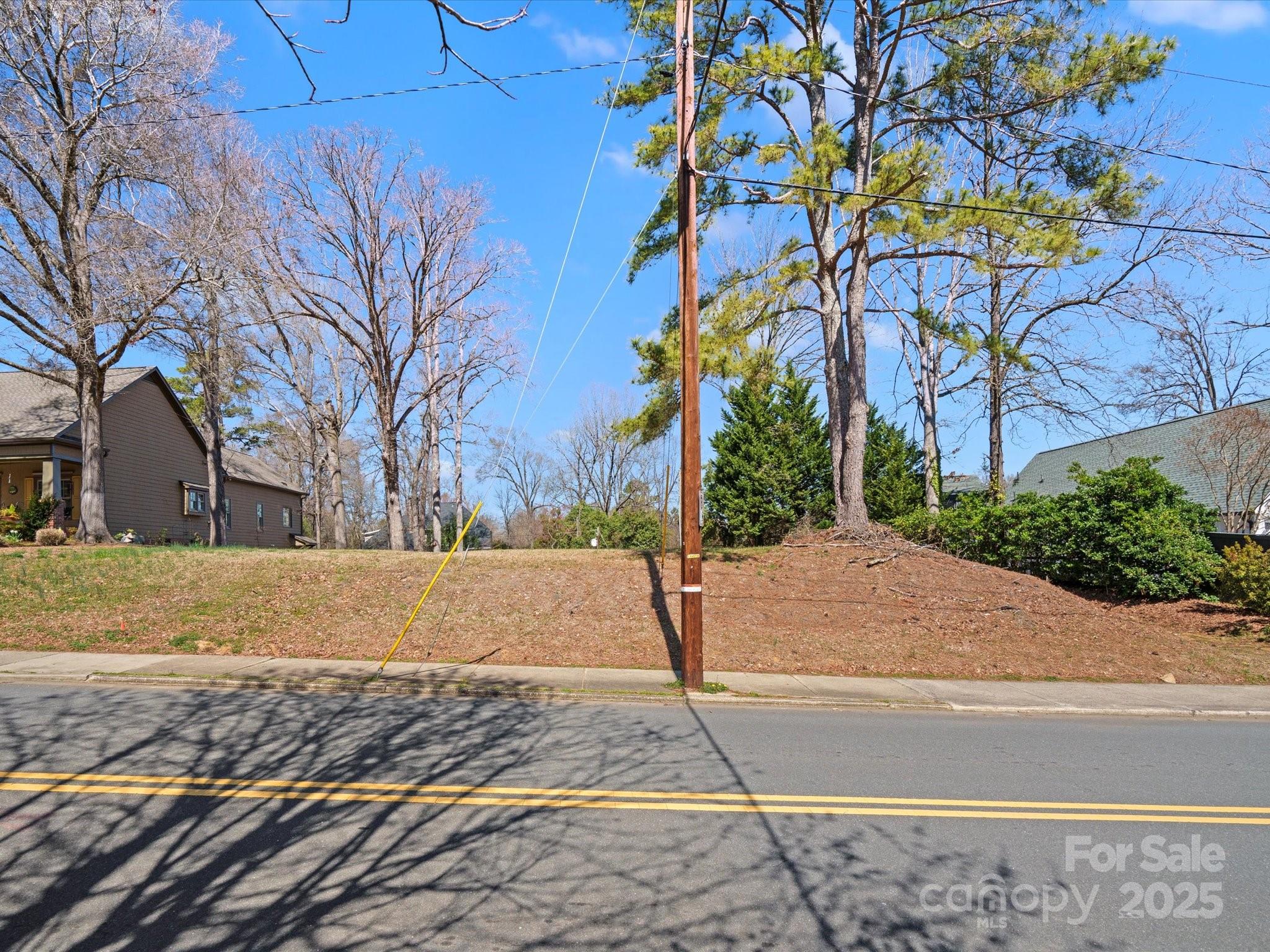 1539 Lilac Road Charlotte, NC 28209 - Photo 8 of 16 a view of a yard with plants and trees