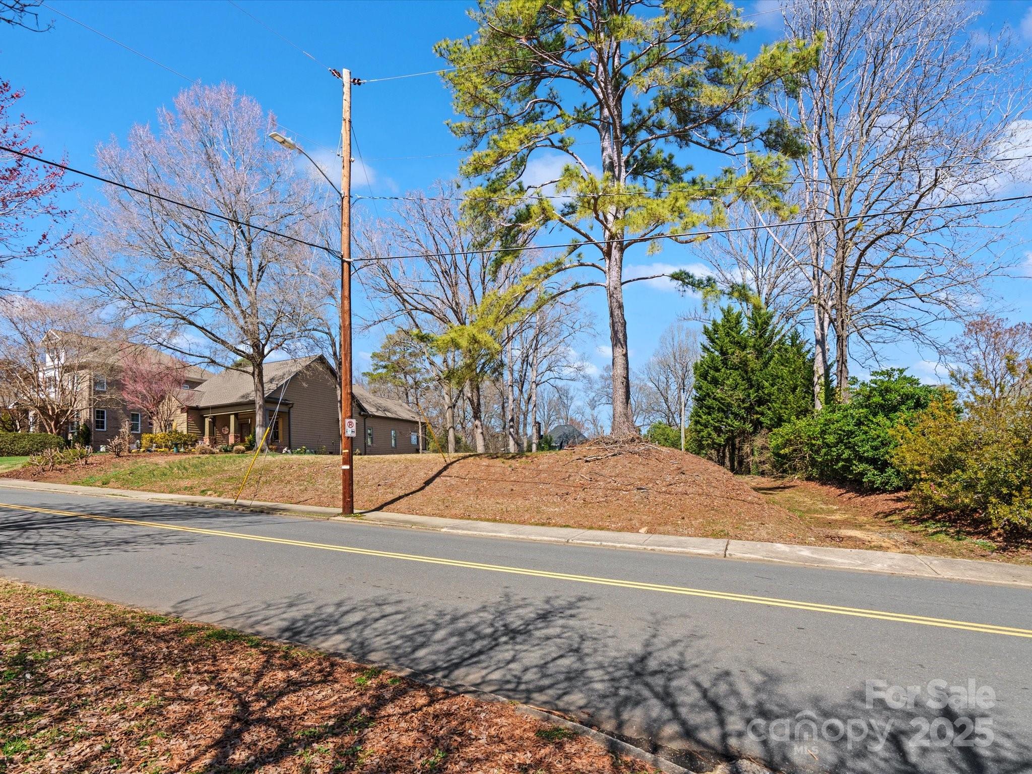 1539 Lilac Road Charlotte, NC 28209 - Photo 10 of 16 a view of a yard with plants and trees