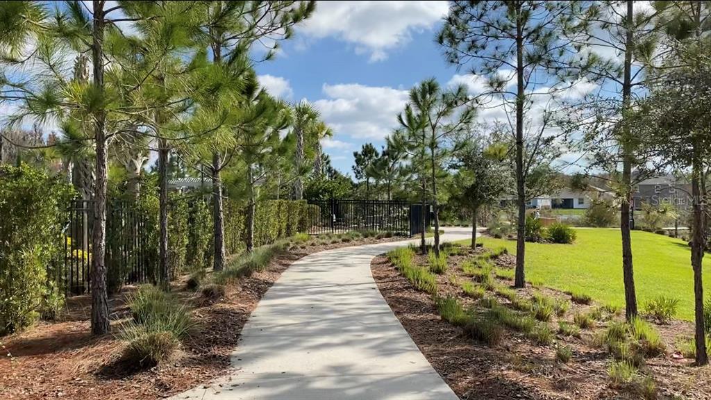 32935 Kaloko Road Wesley Chapel, FL 33543 - Photo 13 of 14