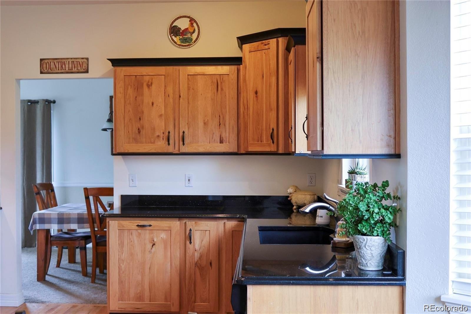 2501 Remington Road Elizabeth, CO 80107 - Photo 16 of 33