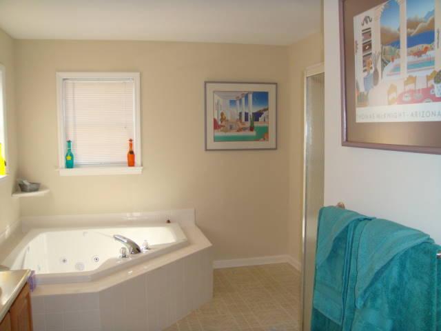 170 Bonbrook Road Wirtz, VA 24184 - Photo 18 of 39 Master Bath