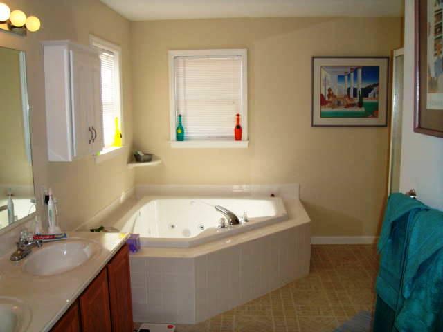 170 Bonbrook Road Wirtz, VA 24184 - Photo 19 of 39 Master Bath with Double Vanity Sink