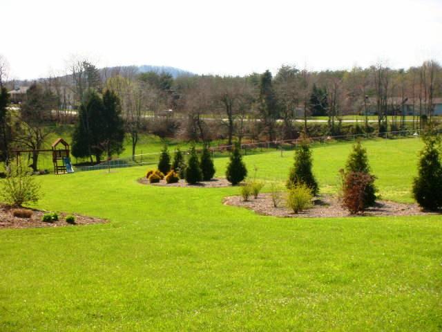 170 Bonbrook Road Wirtz, VA 24184 - Photo 24 of 39 $7000 in Beautiful Landscaping