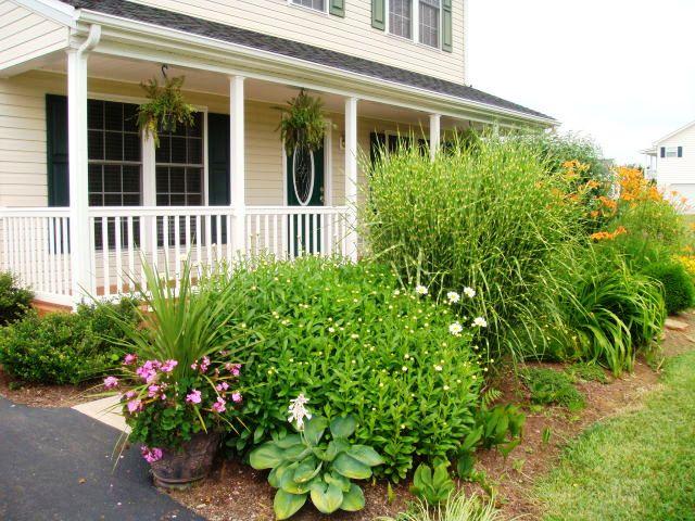 170 Bonbrook Road Wirtz, VA 24184 - Photo 36 of 39 Daisies