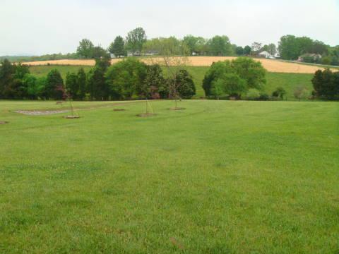 170 Bonbrook Road Wirtz, VA 24184 - Photo 38 of 39 View from Back