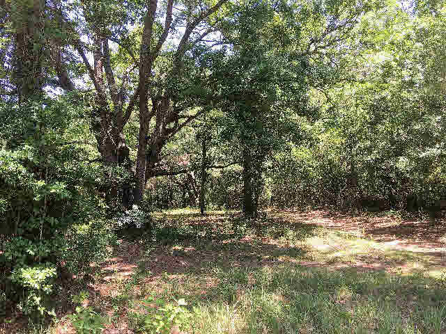 7275 Pinehill Road Daphne, AL 36526 - Photo 2 of 11