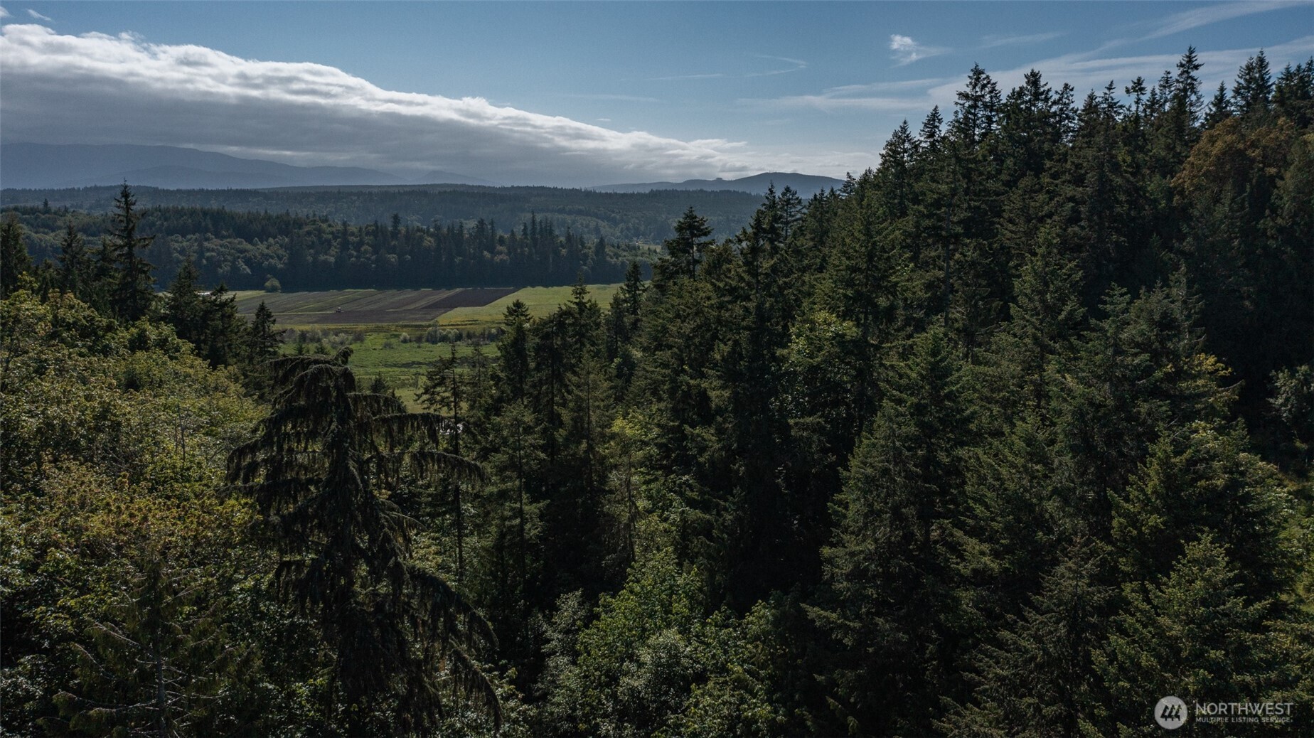 999 Sugar Hill Road Port Hadlock, WA 98339 - Photo 25 of 40