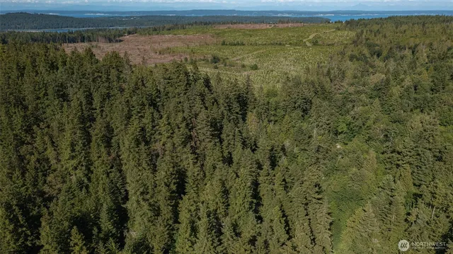 $115,000 | 999 Sugar Hill Road, Port Hadlock, WA 98339