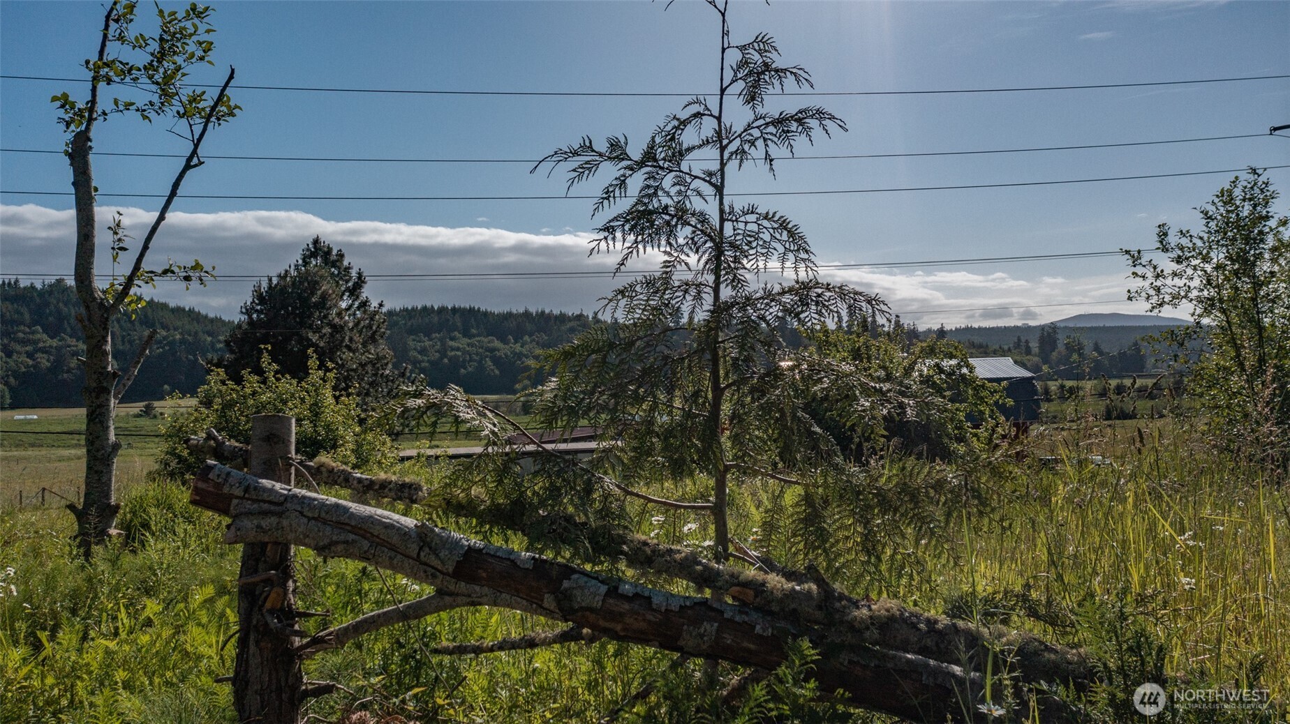 999 Sugar Hill Road Port Hadlock, WA 98339 - Photo 36 of 40