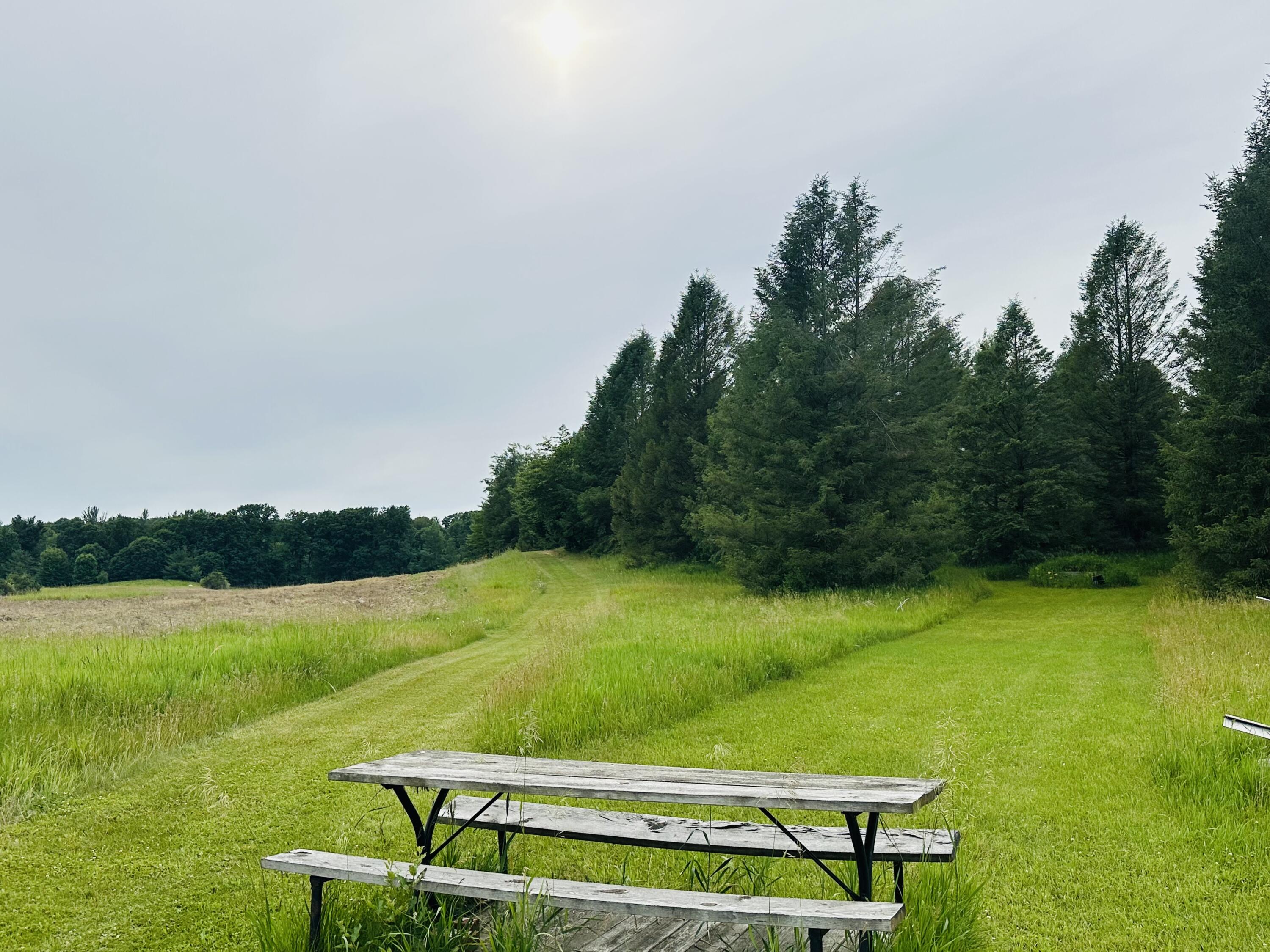 5372 Milarch Road Manistee, MI 49660 - Photo 6 of 41 A peaceful property