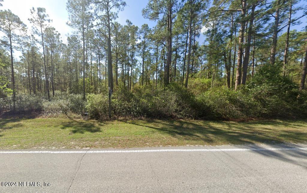 207 Georgetown Denver Road Georgetown, FL 32139 - Photo 1 of 4 Primary Exterior Photo
