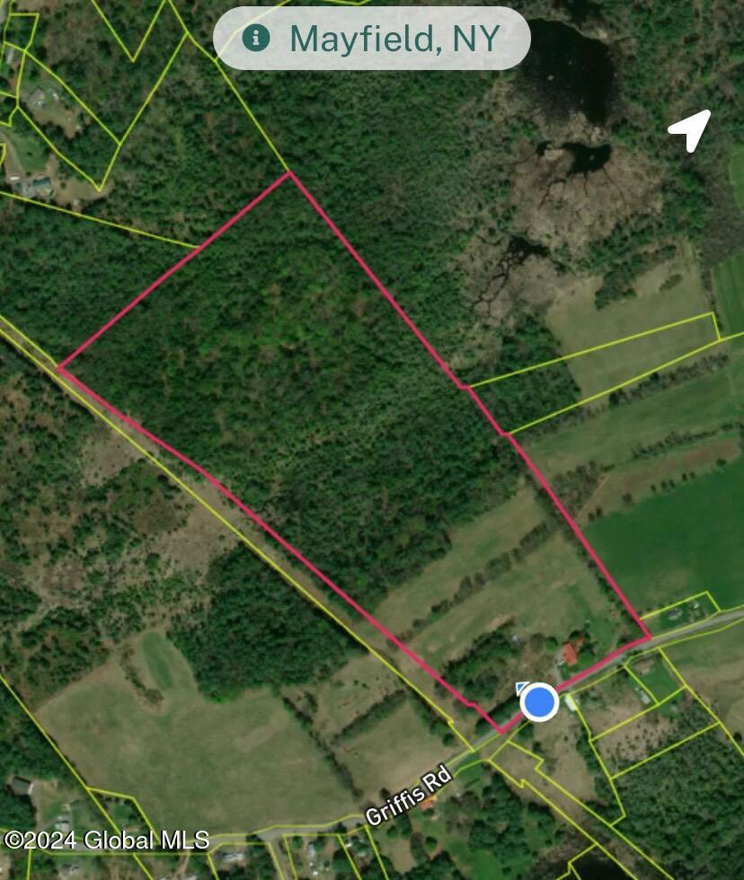 263 Griffis Road Gloversville, NY 12078 - Photo 8 of 91 Property Lines
