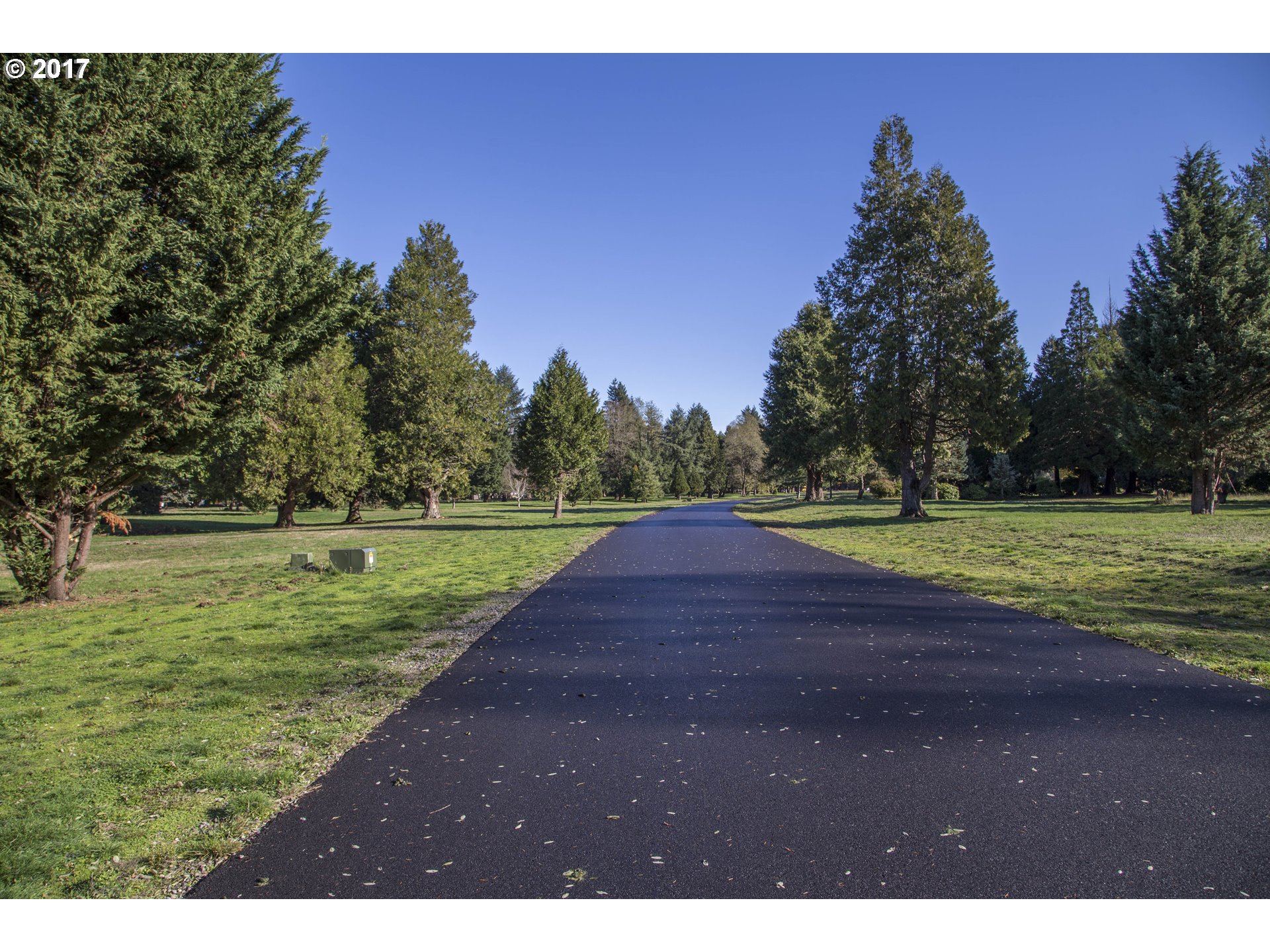 Omlid Drive, Unit 27 Springfield, OR 97478 - Photo 4 of 23 Gallery Image 4