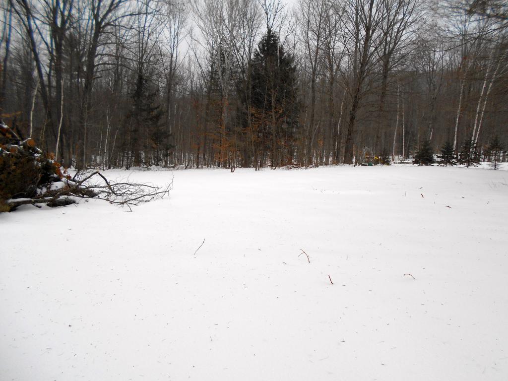37 Whitewater Brook Road Cornish, NH 03745 - Photo 3 of 8