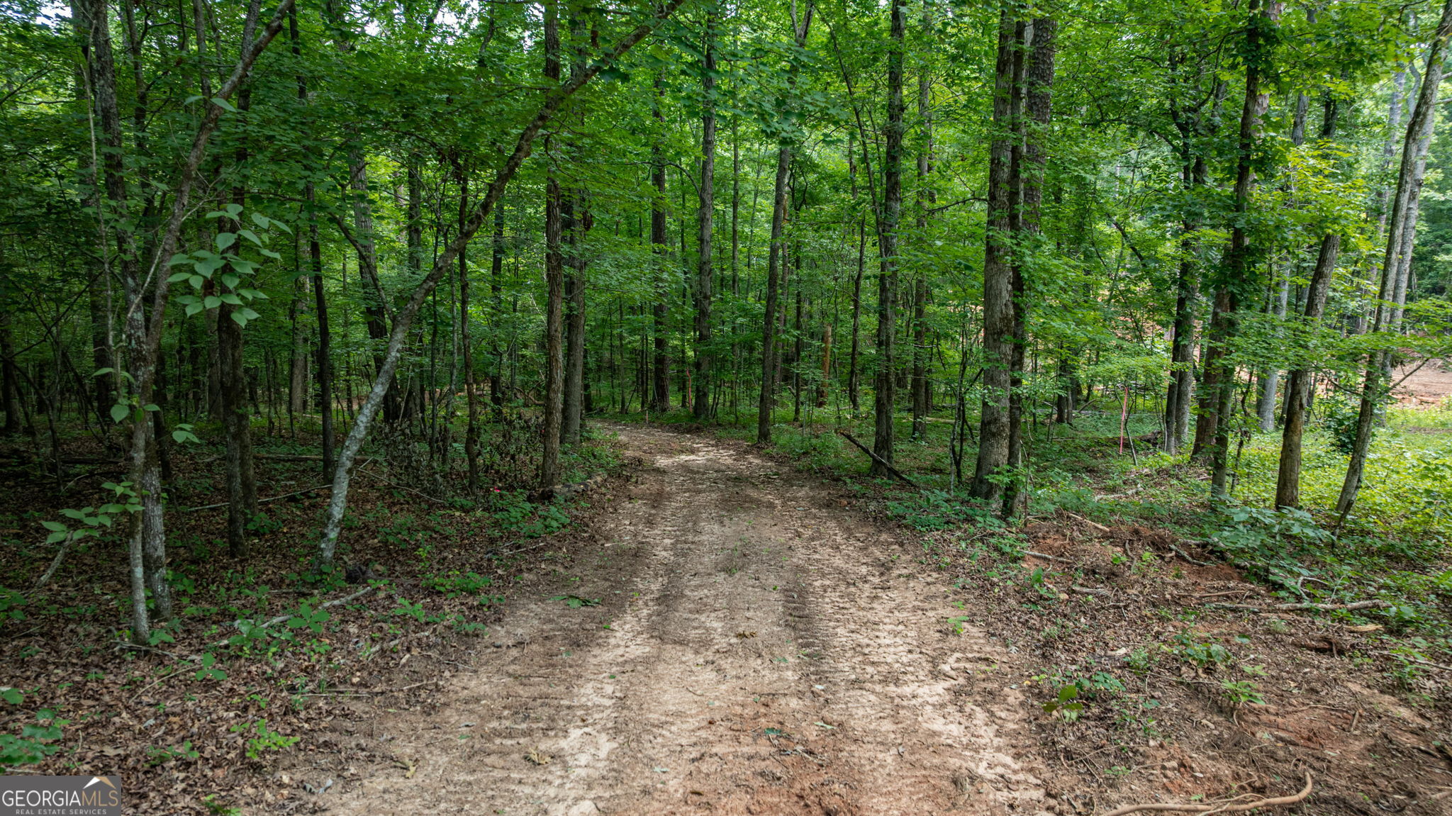543 Faust Farm Road Crawford, GA 30630 - Photo 6 of 22