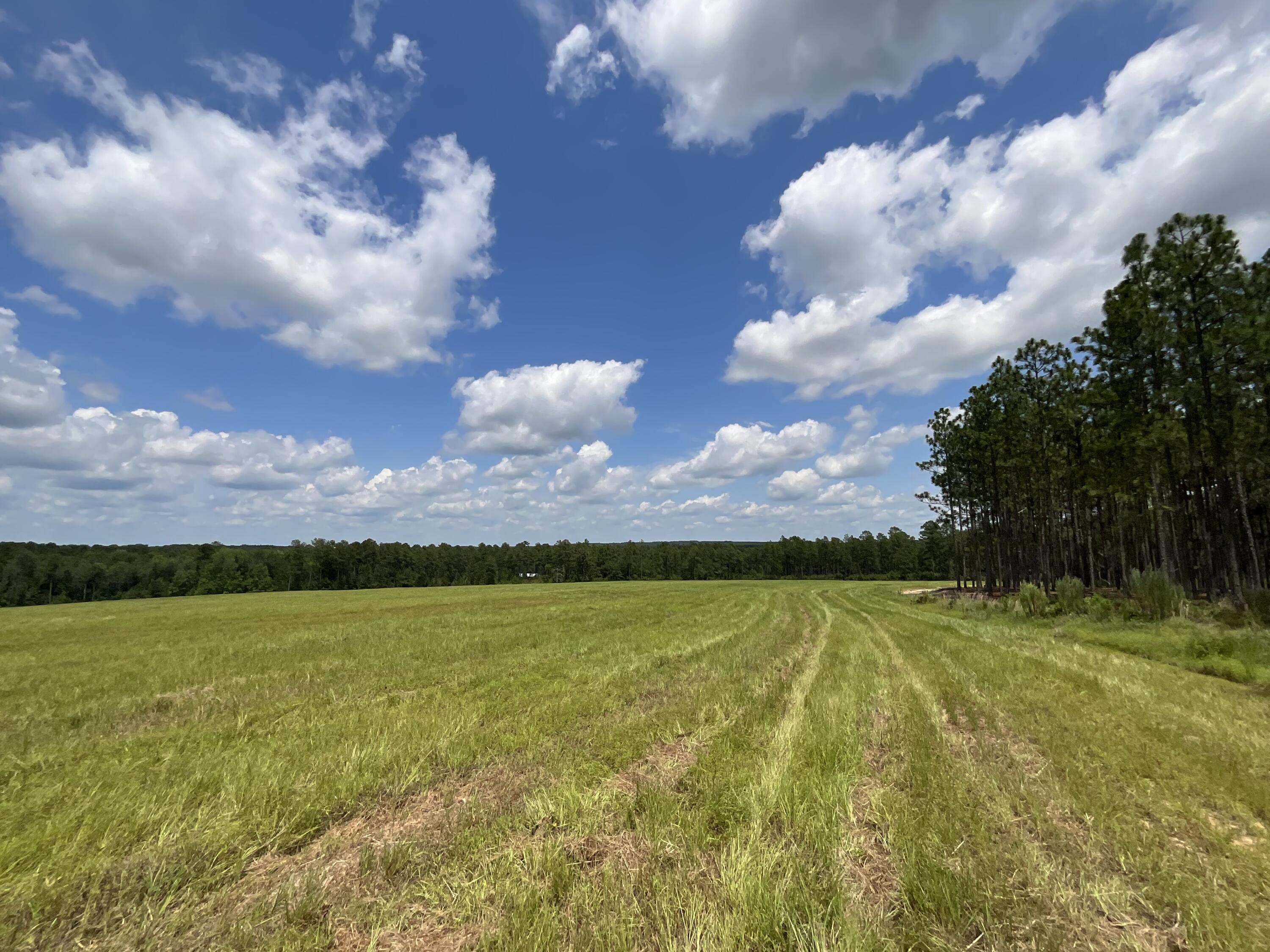 -lot 47 Laughlin Loop Aiken, SC 29805 - Photo 12 of 13