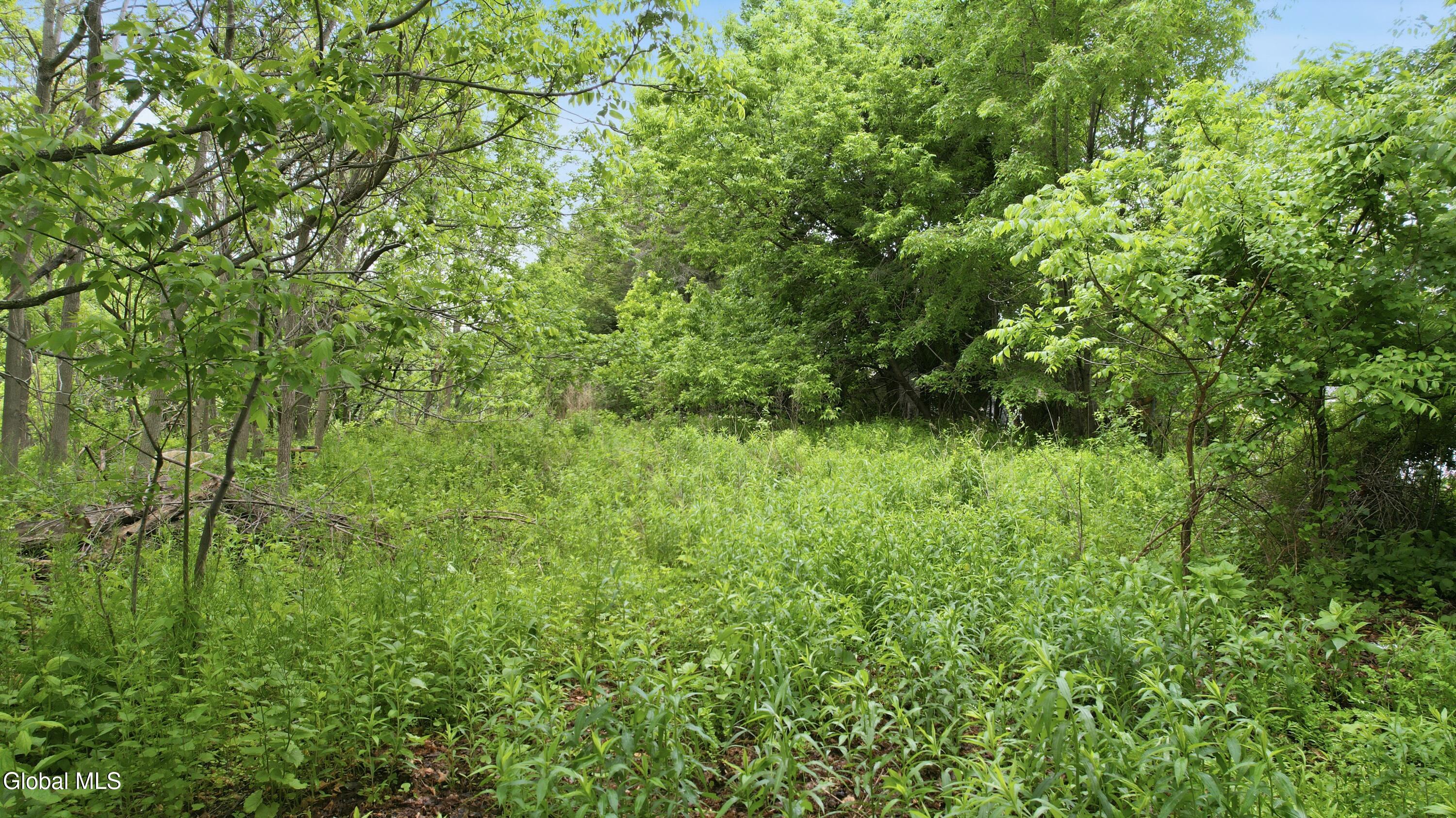 598 Hoosick Road Brunswick, NY 12180 - Photo 13 of 17 598 Hoosick Rd Troy_ NY 12180_ USA (5)