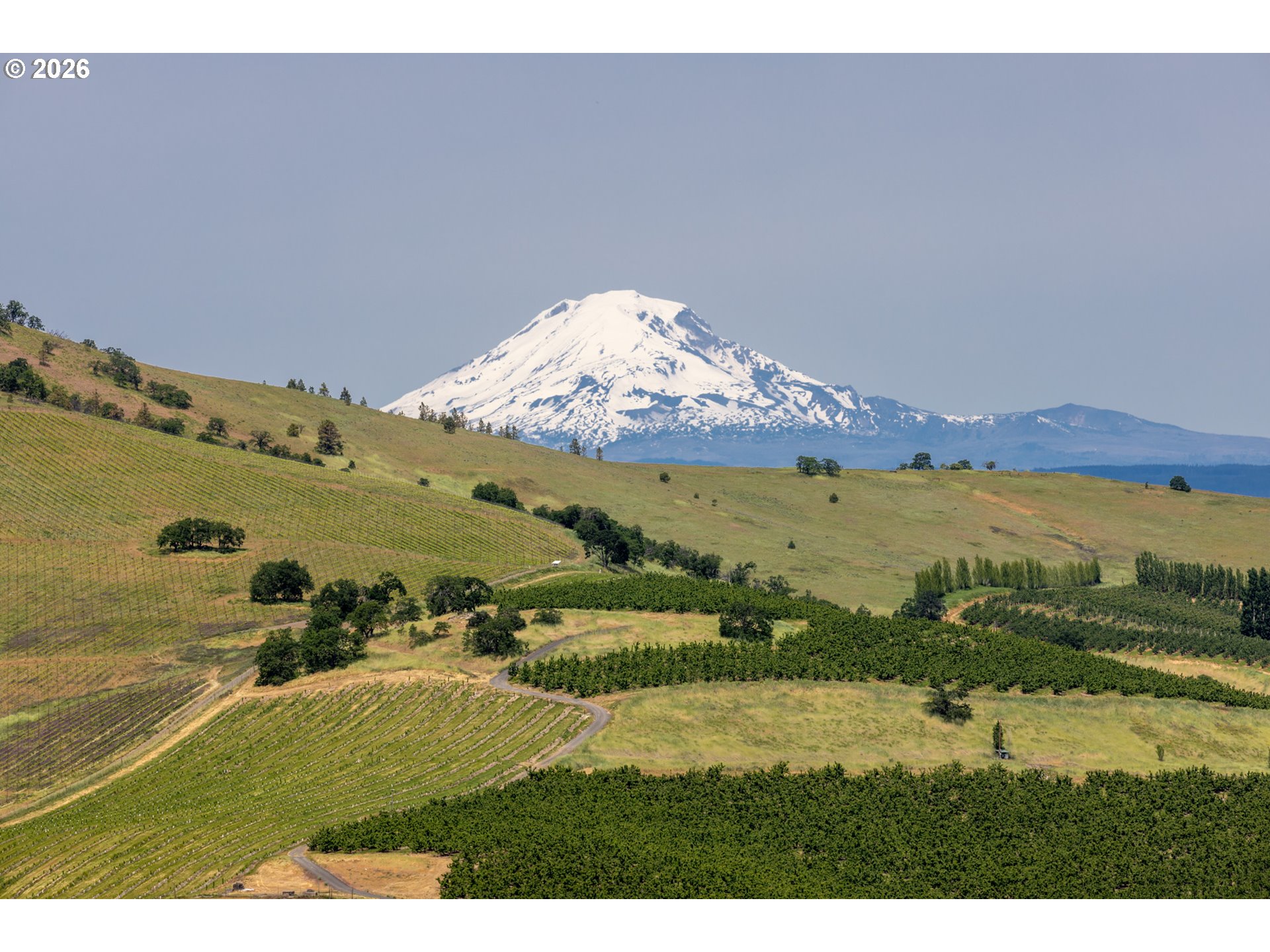 Ridge Road West The Dalles, OR 97058 - Photo 19 of 31 Gallery Image 19