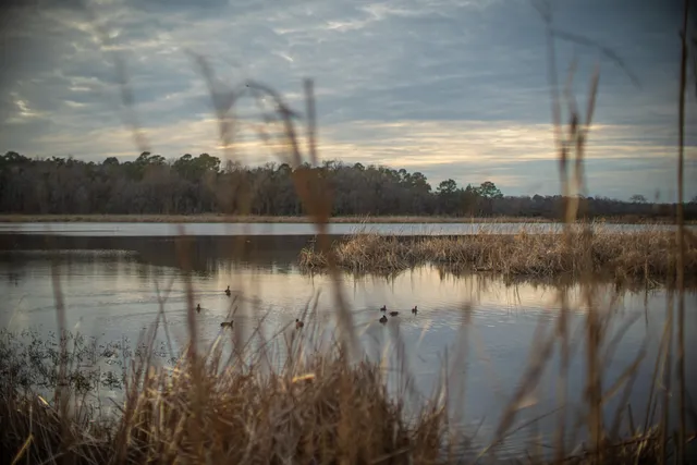 $260,000 | 19 Middleton Oaks Road, Charleston, SC 29414