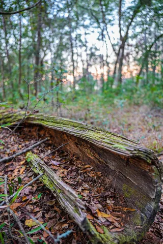 $260,000 | 19 Middleton Oaks Road, Charleston, SC 29414