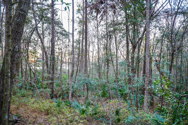 $260,000 | 19 Middleton Oaks Road, Charleston, SC 29414