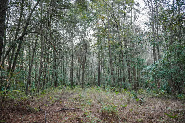 $260,000 | 19 Middleton Oaks Road, Charleston, SC 29414