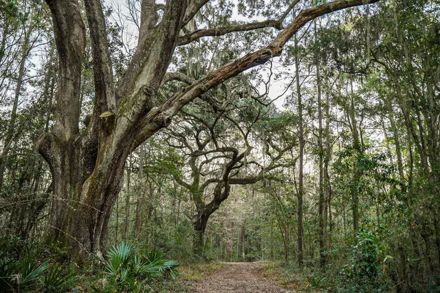 $260,000 | 19 Middleton Oaks Road, Charleston, SC 29414