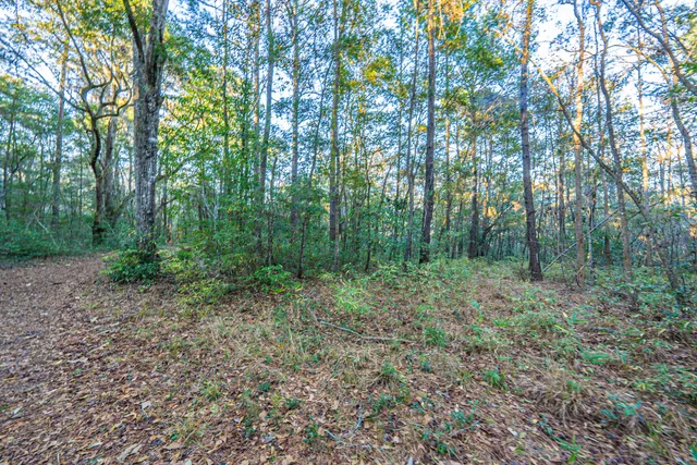 $260,000 | 19 Middleton Oaks Road, Charleston, SC 29414