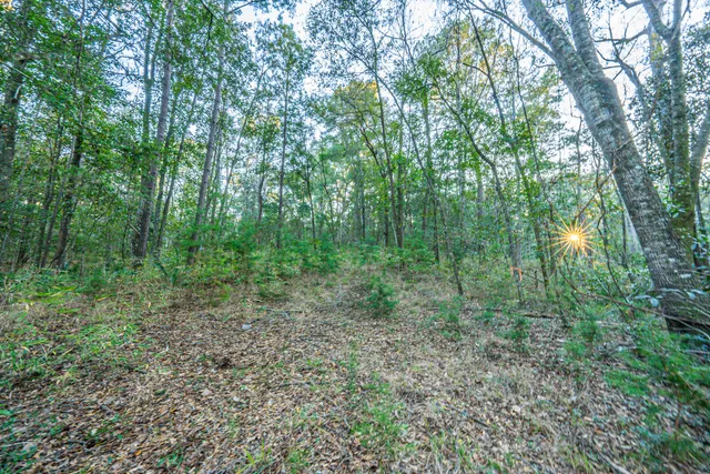 $260,000 | 19 Middleton Oaks Road, Charleston, SC 29414