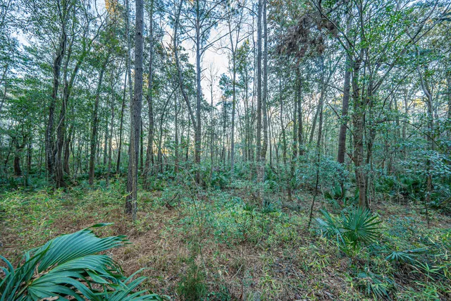 $260,000 | 19 Middleton Oaks Road, Charleston, SC 29414