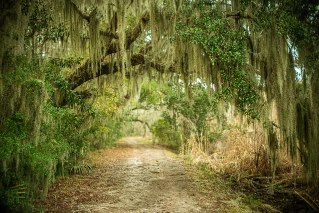 $260,000 | 19 Middleton Oaks Road, Charleston, SC 29414