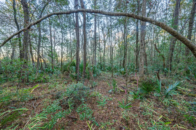 $260,000 | 19 Middleton Oaks Road, Charleston, SC 29414