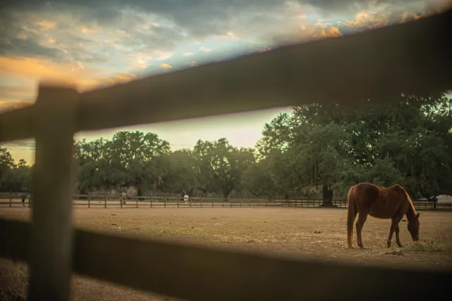 $260,000 | 19 Middleton Oaks Road, Charleston, SC 29414