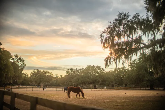 $260,000 | 19 Middleton Oaks Road, Charleston, SC 29414
