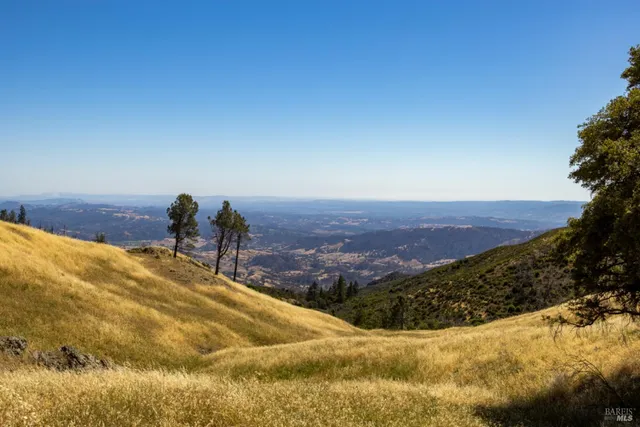 a view of a backyard of the house