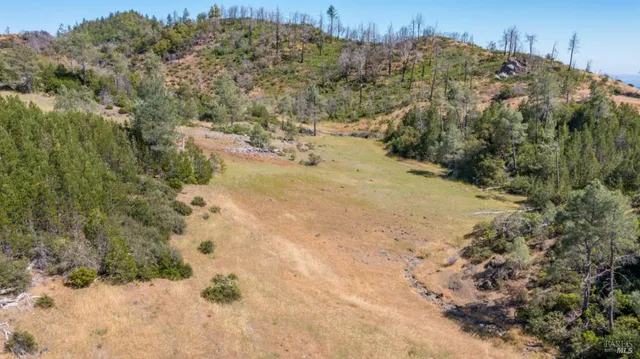 a view of a yard with a mountain