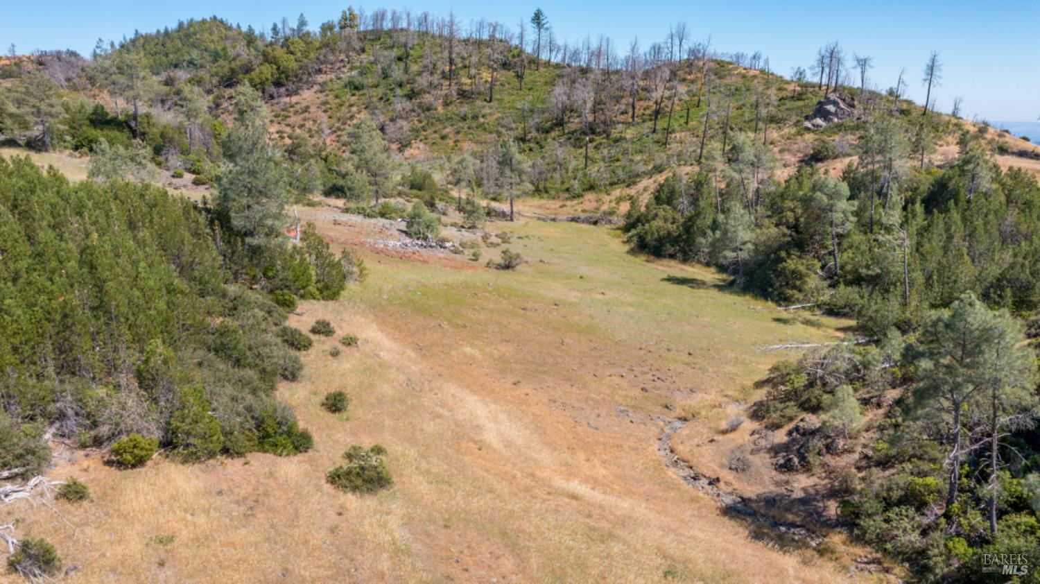 0 Pine Flat Road Calistoga, CA 94515 - Photo 13 of 59 a view of a yard with a mountain