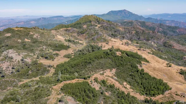 a view of a mountain in the distance in a field